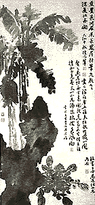 �d�����۹�